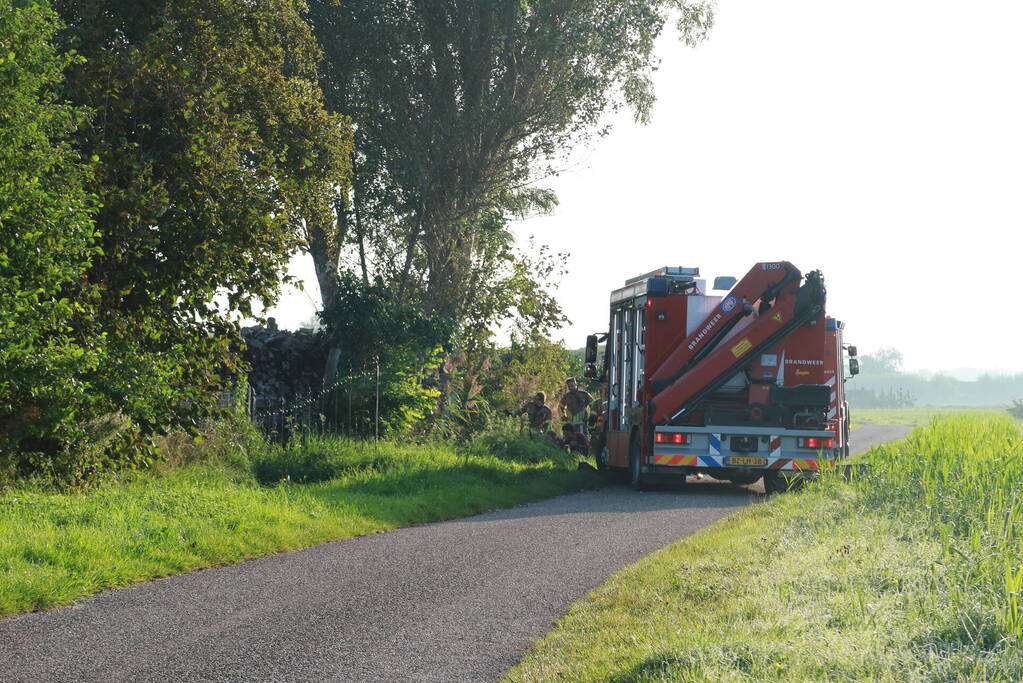 Paard uit water gered