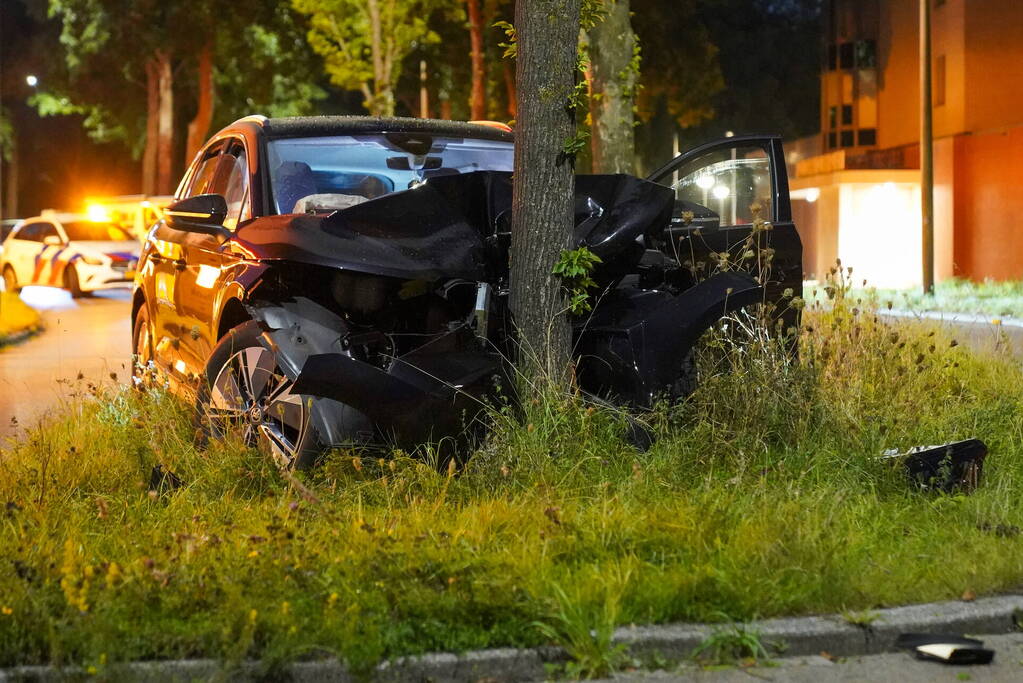 Automobilist klapt op boom