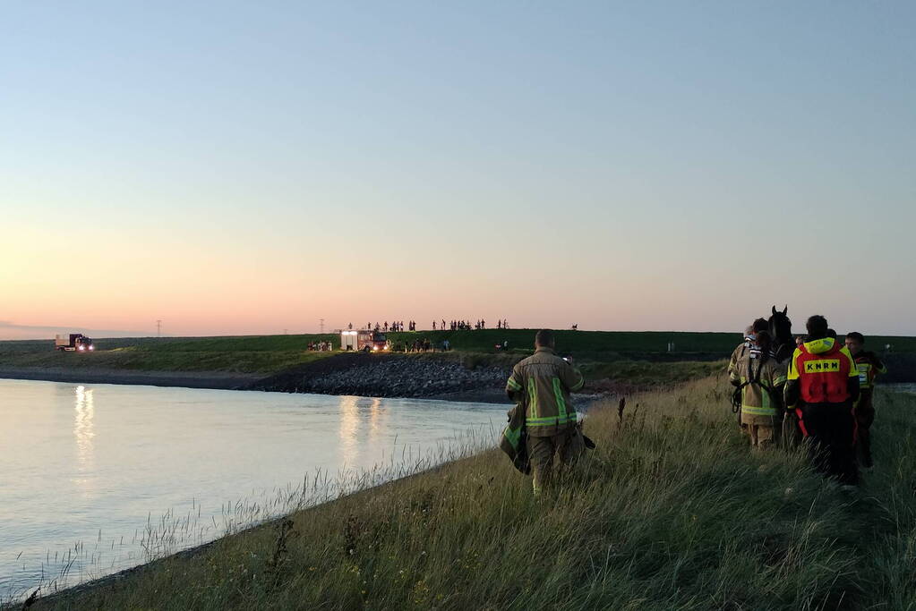 Hulpdiensten ingezet nadat paard verkoeling zoekt in Westerschelde