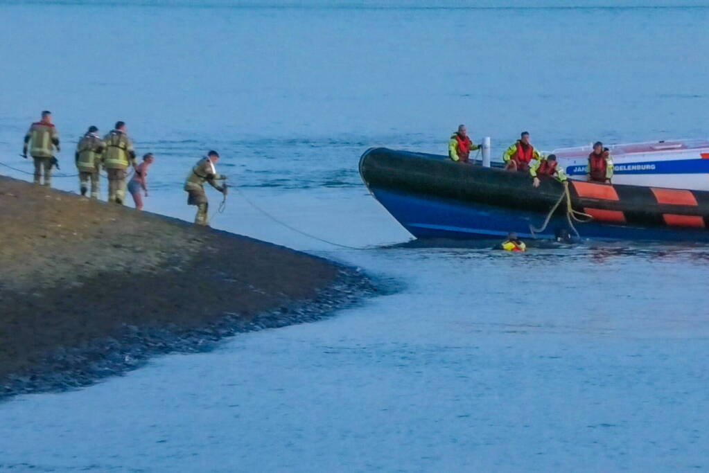 Hulpdiensten ingezet nadat paard verkoeling zoekt in Westerschelde