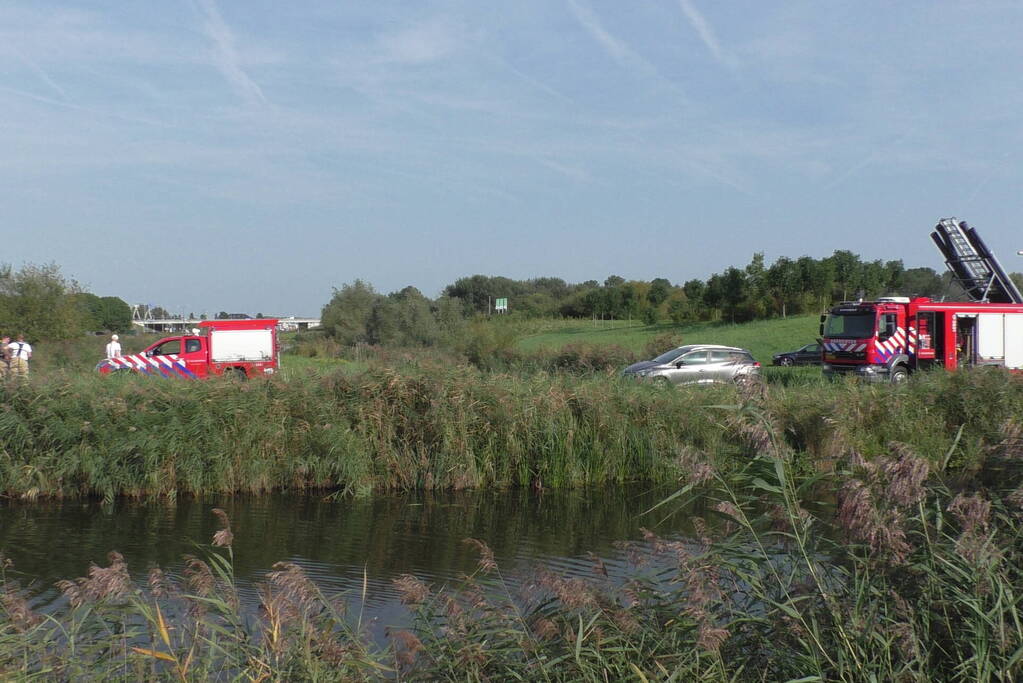 Grote zoekactie naar te water geraakte hond