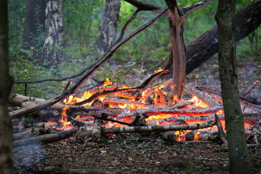 Brandweer blust kampvuur in bos