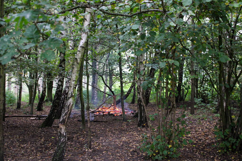 Brandweer blust kampvuur in bos