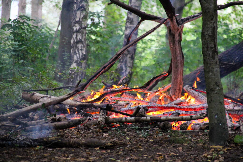 Brandweer blust kampvuur in bos