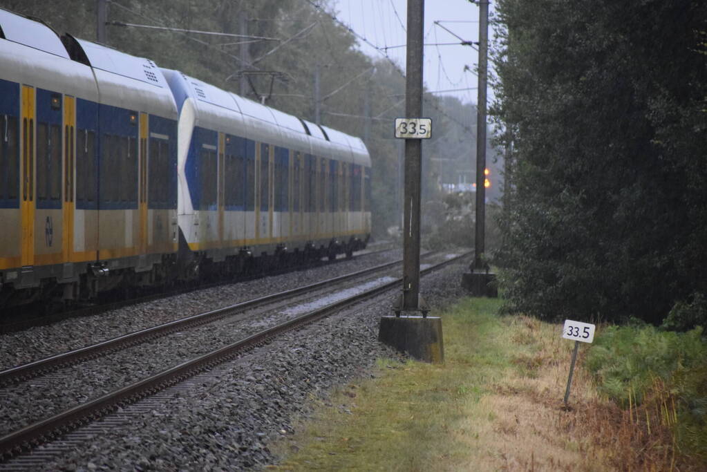 Treinverkeer gestremd door omgevallen boom