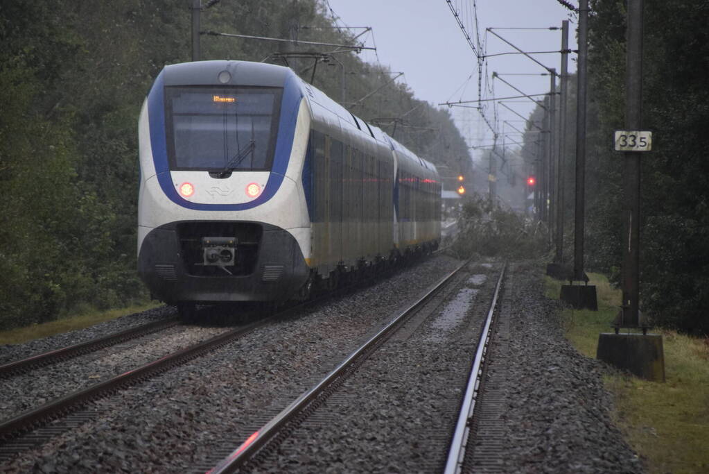 Treinverkeer gestremd door omgevallen boom