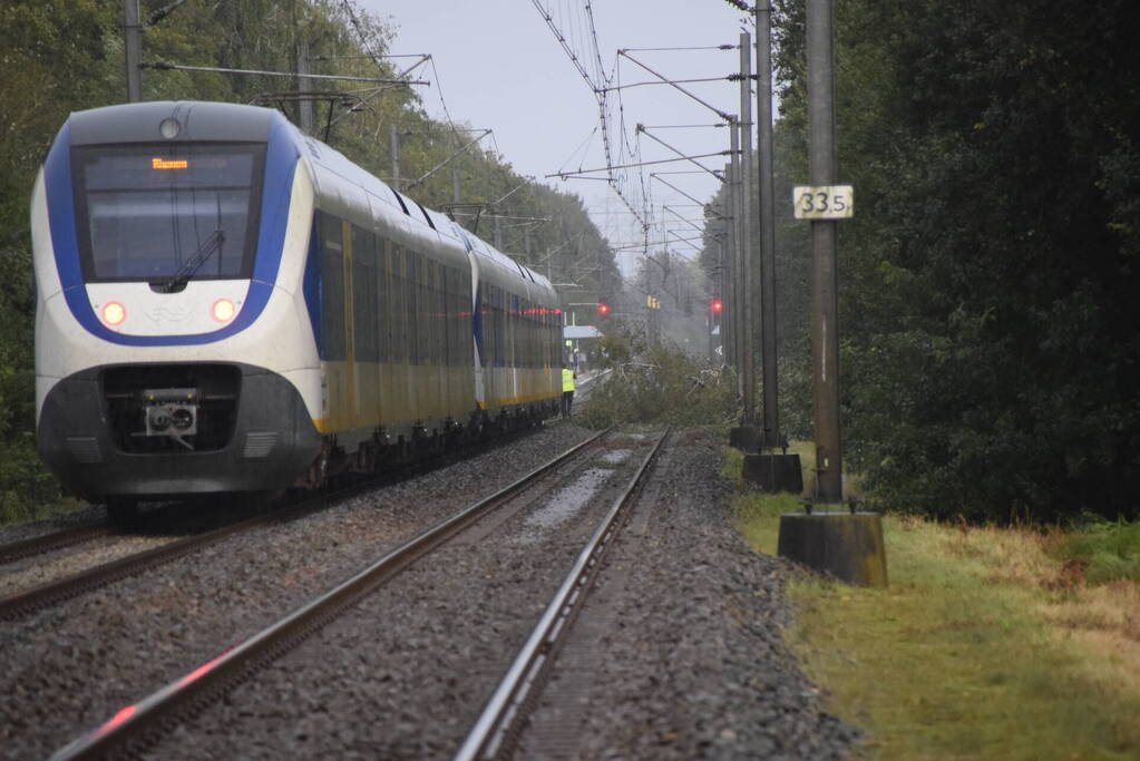 Treinverkeer gestremd door omgevallen boom