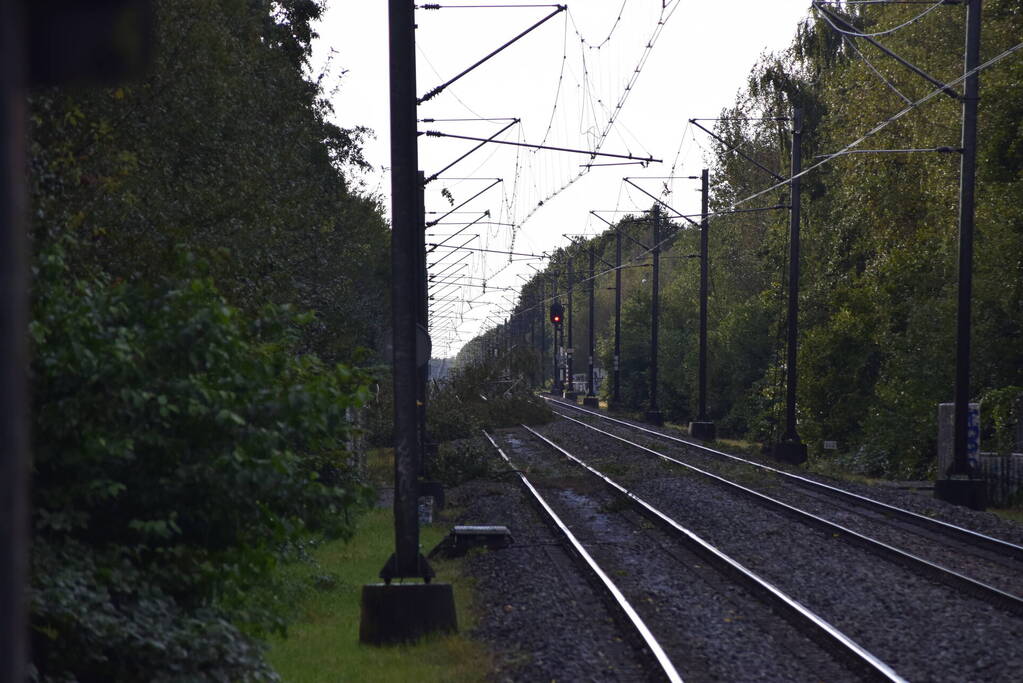 Treinverkeer gestremd door omgevallen boom