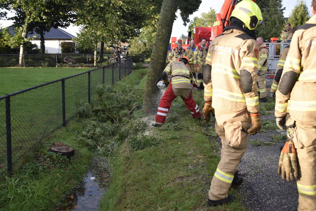 Brandweer voorkomt vallende boom