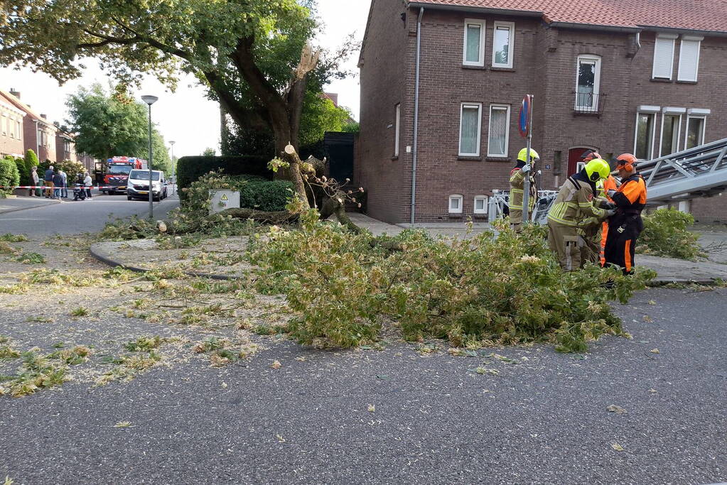 Grote tak van boom afgebroken door harde wind