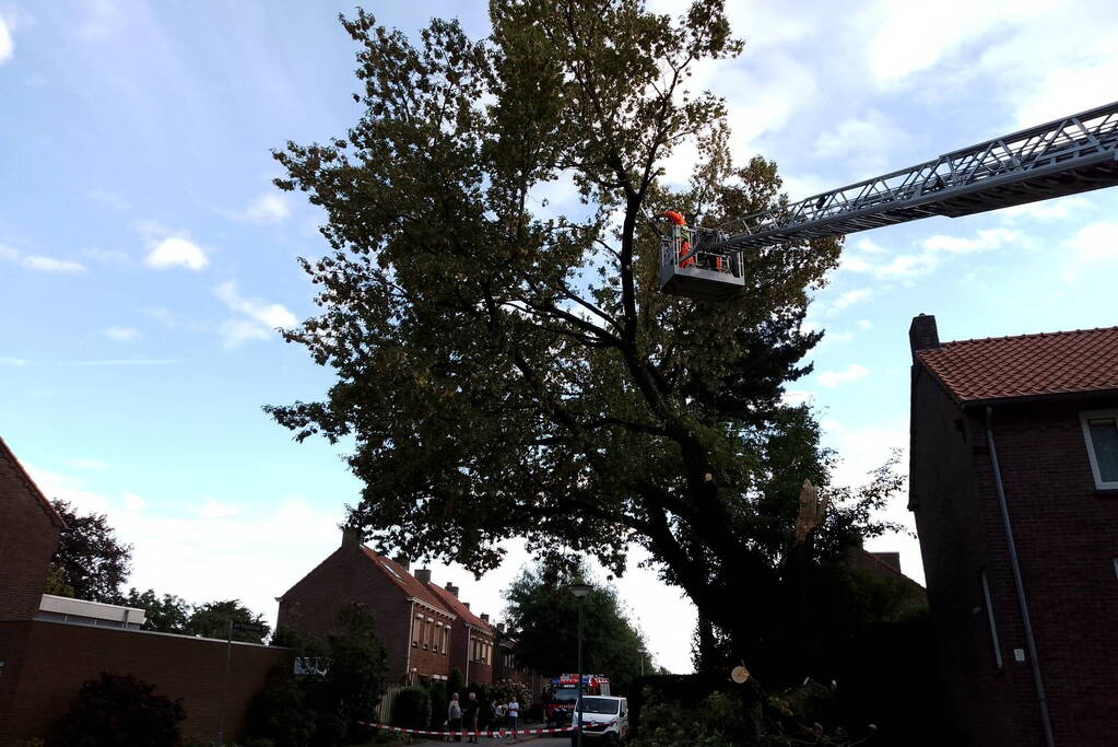 Grote tak van boom afgebroken door harde wind