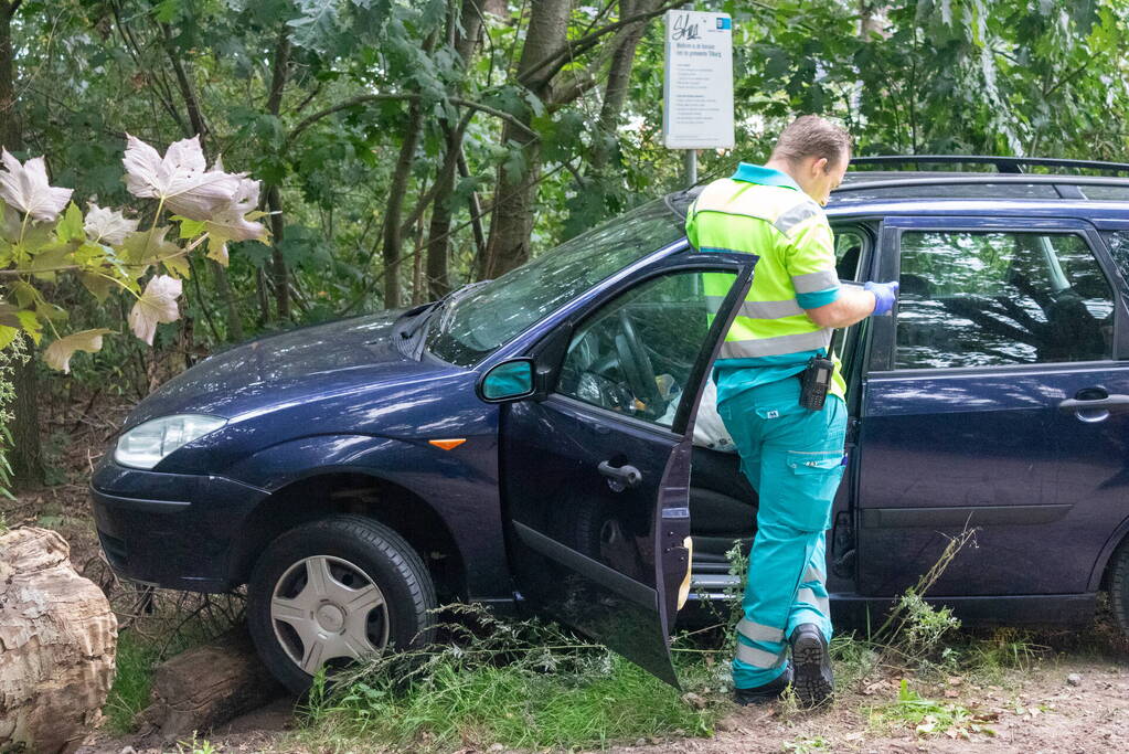 Bestuurder onder invloed botst op boomstronk