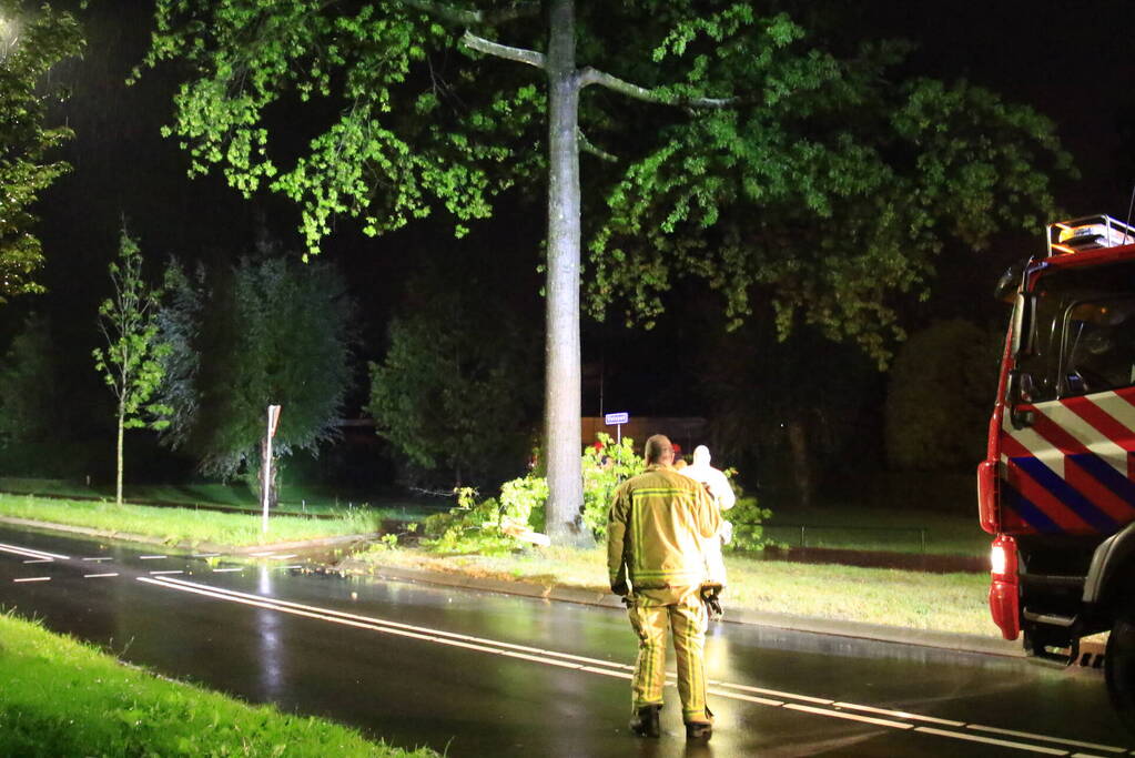 Brandweer verwijdert grote tak