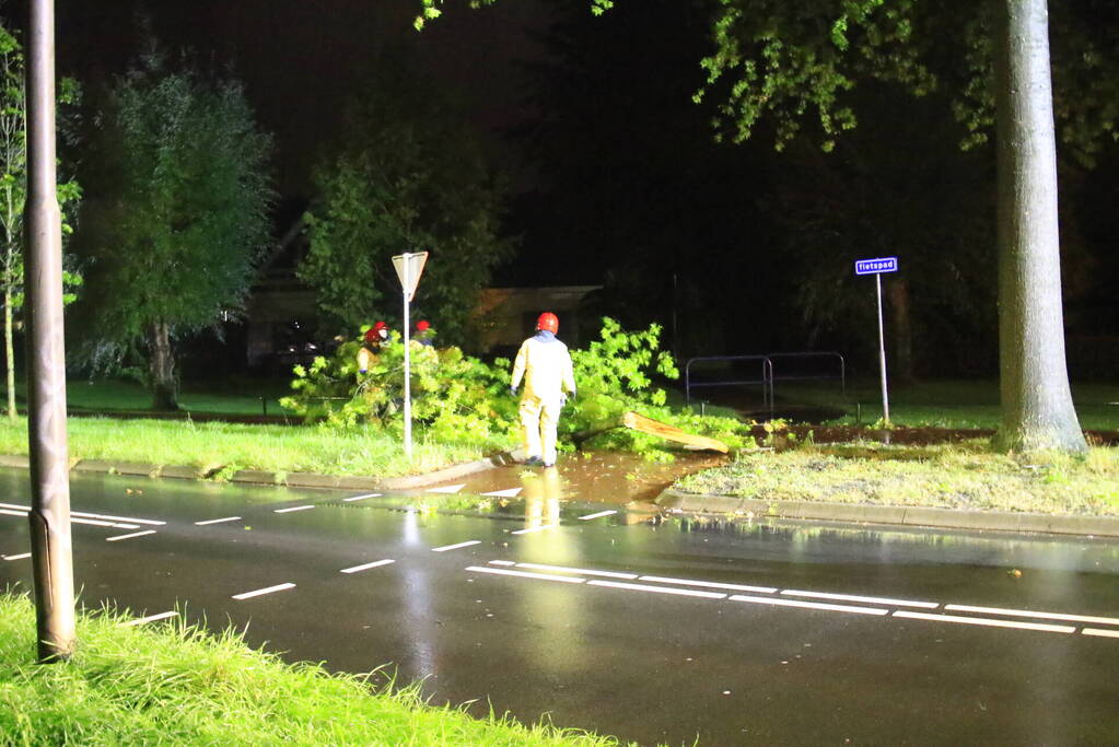 Brandweer verwijdert grote tak