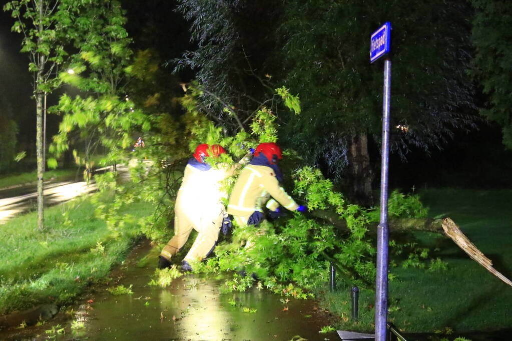 Brandweer verwijdert grote tak