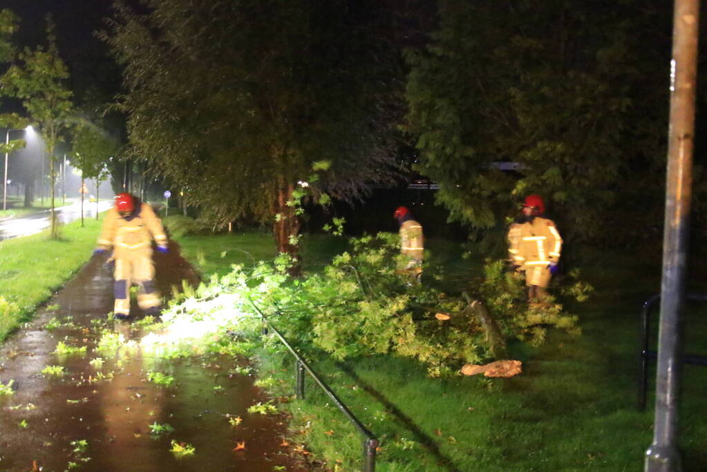 Brandweer verwijdert grote tak