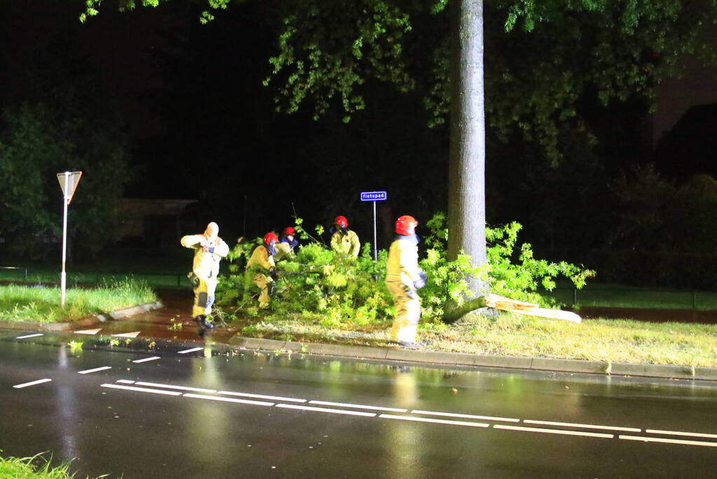 Brandweer verwijdert grote tak