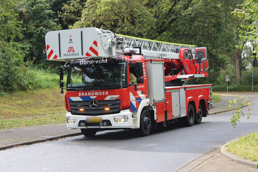 Brandweer haalt met moeite kat uit boom