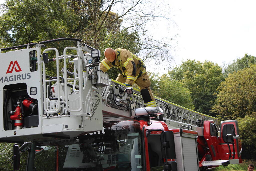 Brandweer haalt met moeite kat uit boom