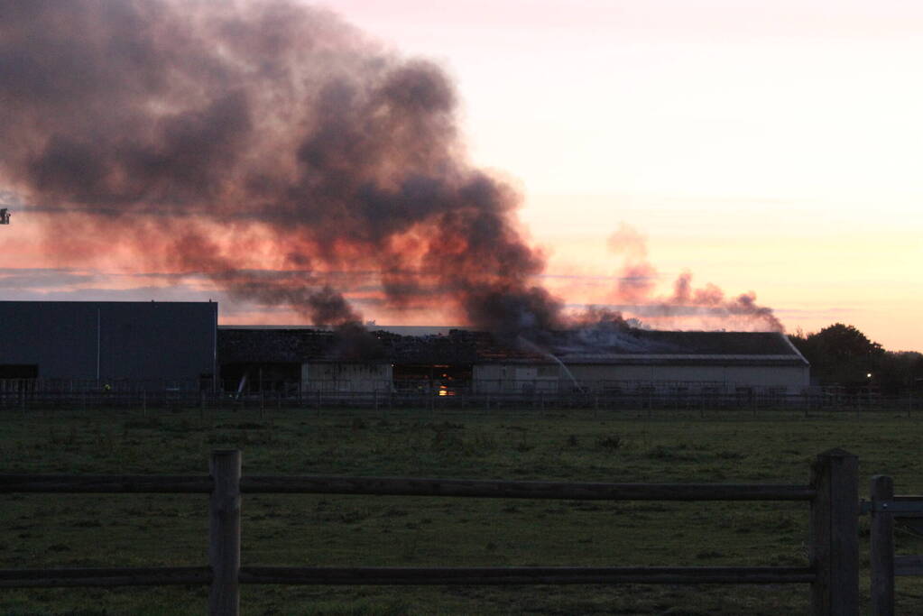 Grote brand in loods met droogbloemen