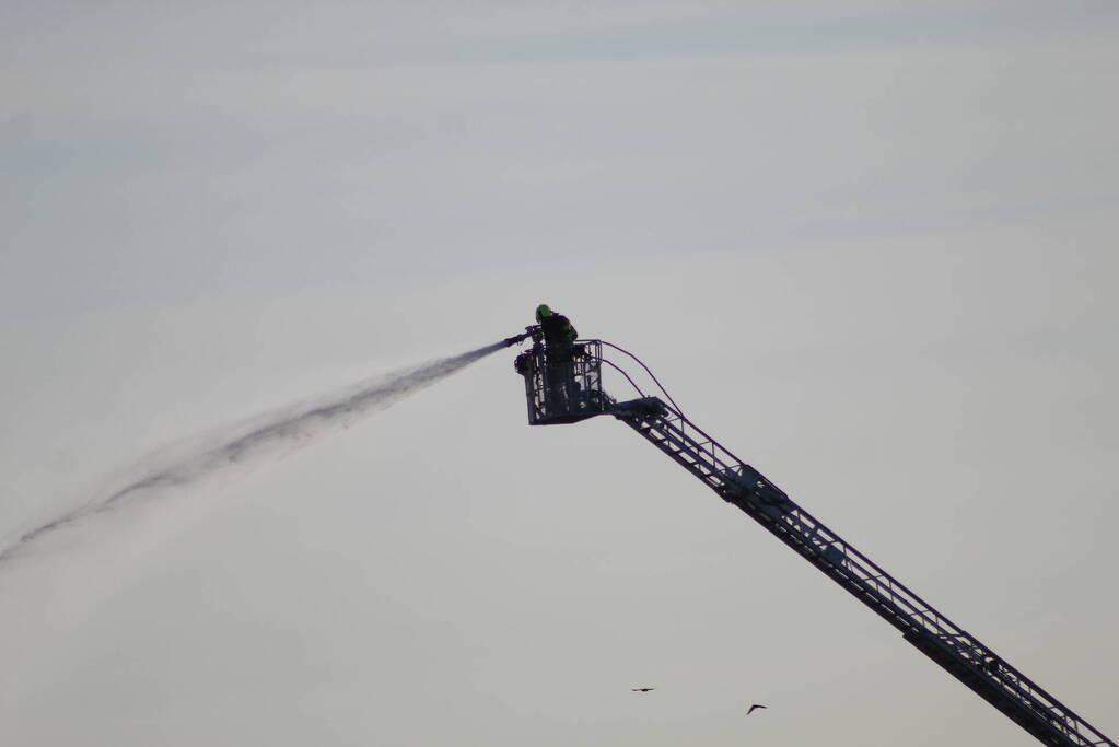 Grote brand in loods met droogbloemen