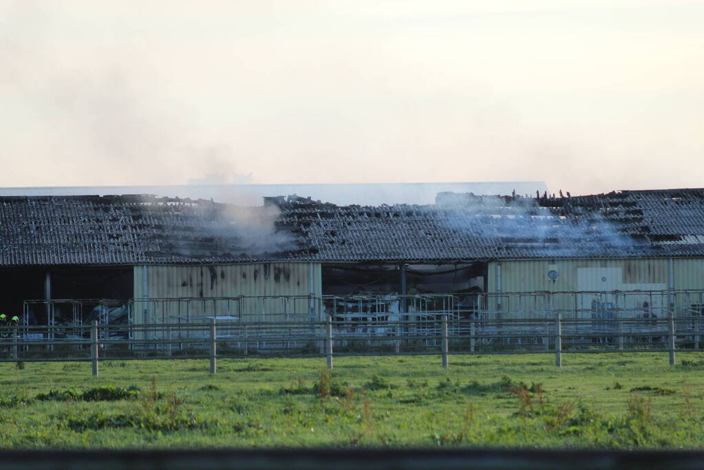 Grote brand in loods met droogbloemen