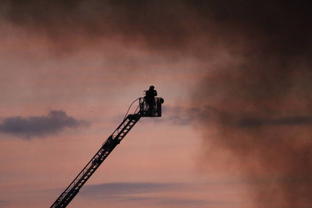 Grote brand in loods met droogbloemen