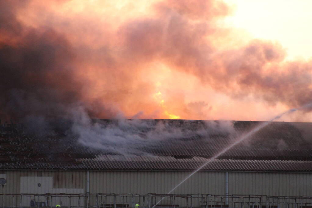 Grote brand in loods met droogbloemen