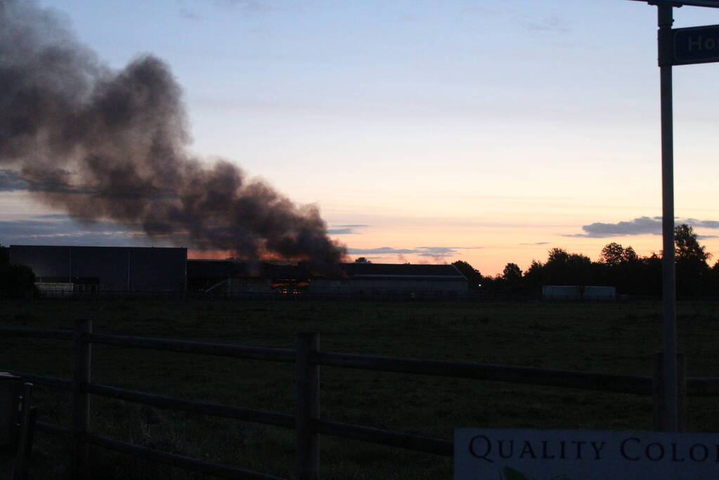 Grote brand in loods met droogbloemen