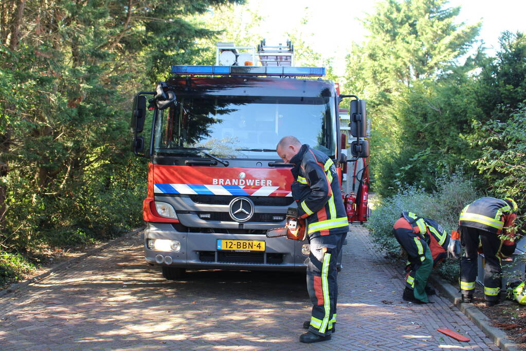 Tak breekt af en valt over weg