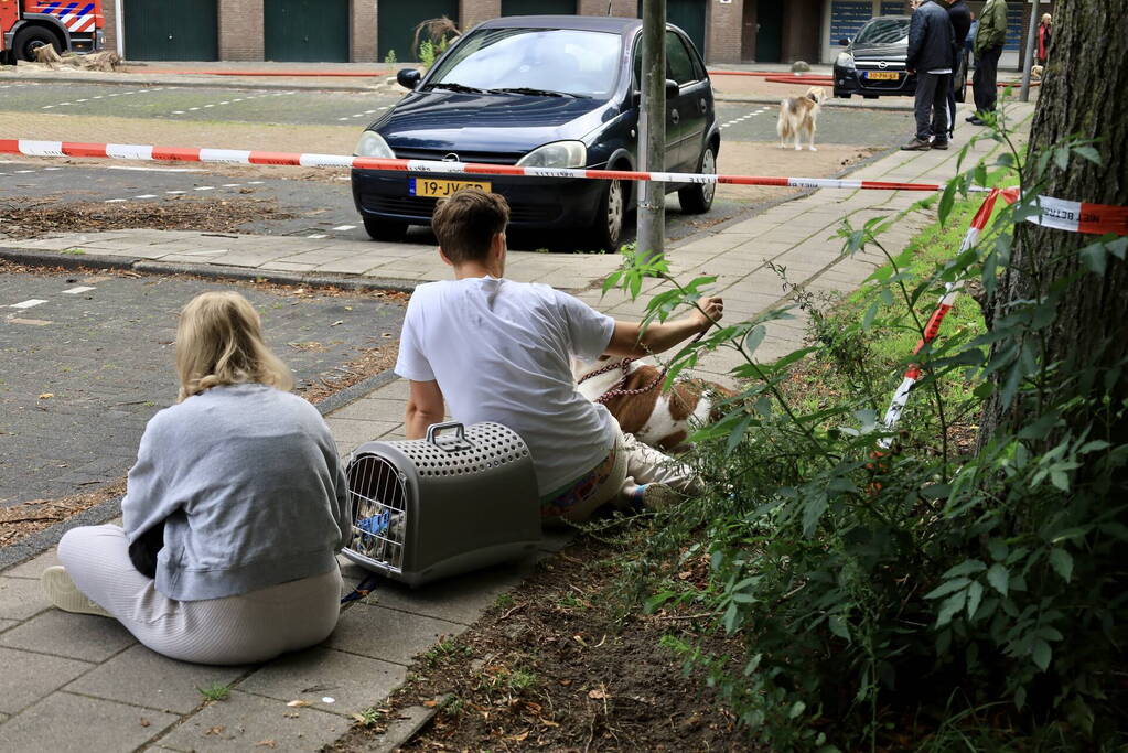 Felle uitslaande brand in flatgebouw