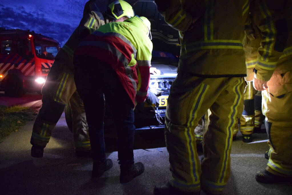 Reiger uit grill van auto bevrijdt