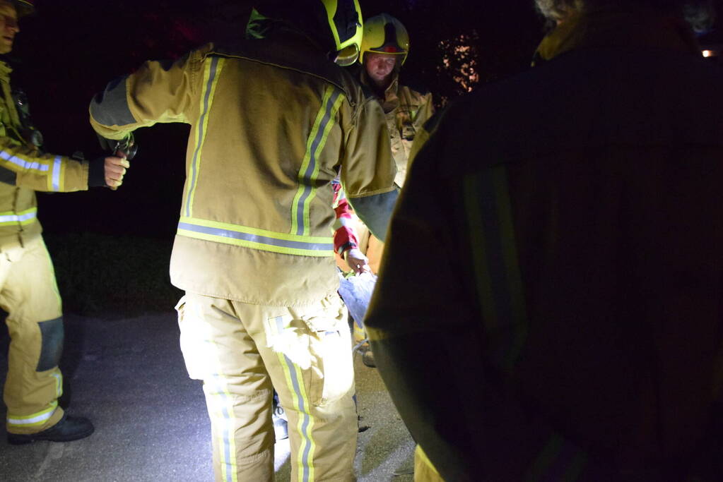 Reiger uit grill van auto bevrijdt