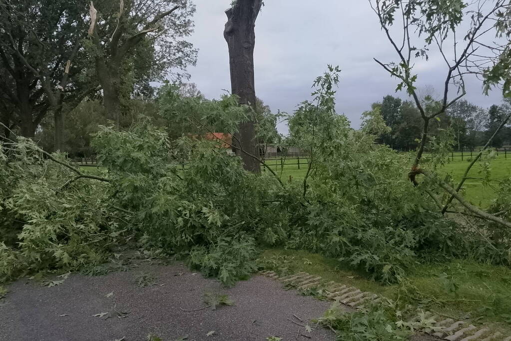 Woning zwaar beschadigd door rondvliegende takken