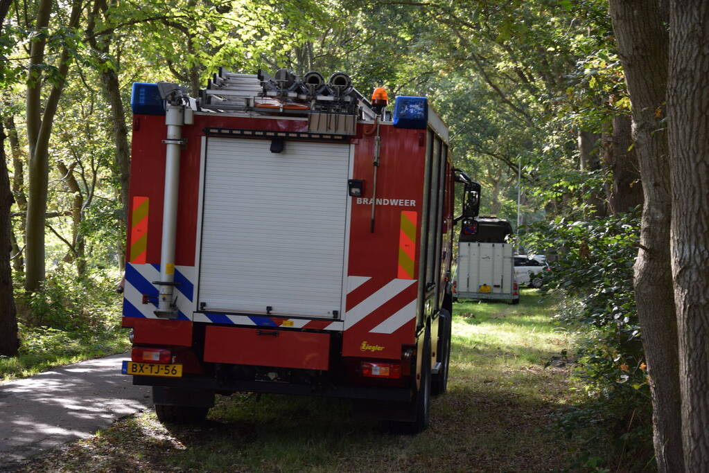 Ruiter gewond bij val in bos