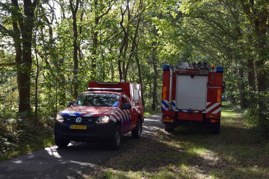 Ruiter gewond bij val in bos