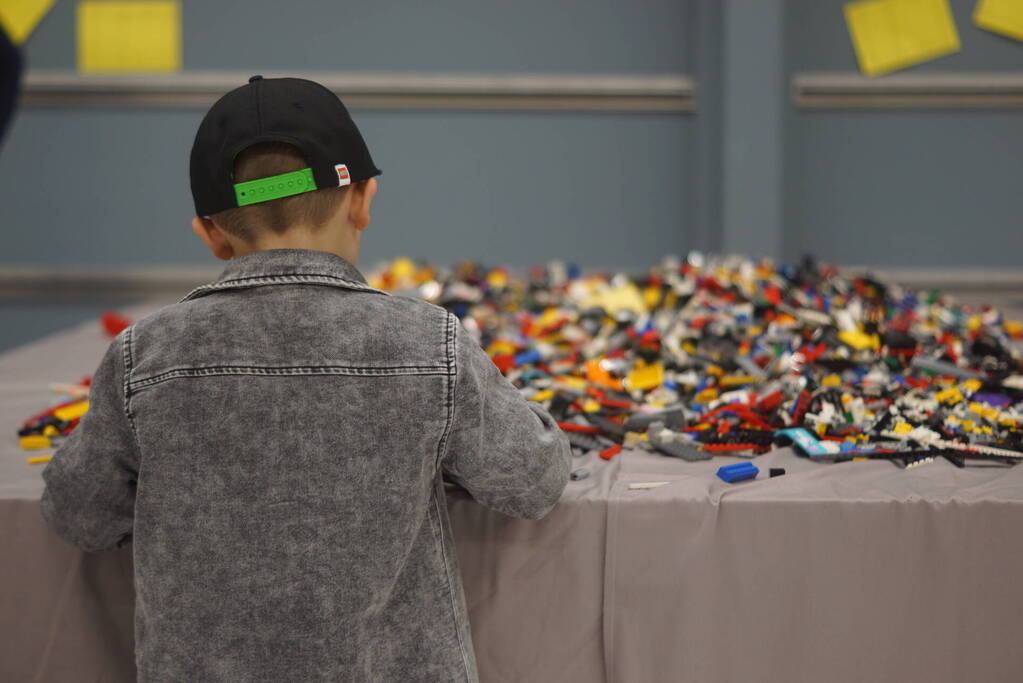 LEGO-liefhebbers bewonderen tentoongestelde creaties