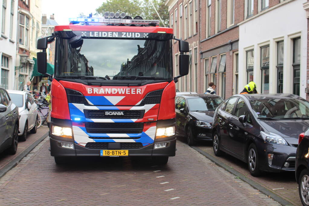 Dakbrand door wegbranden wespennest