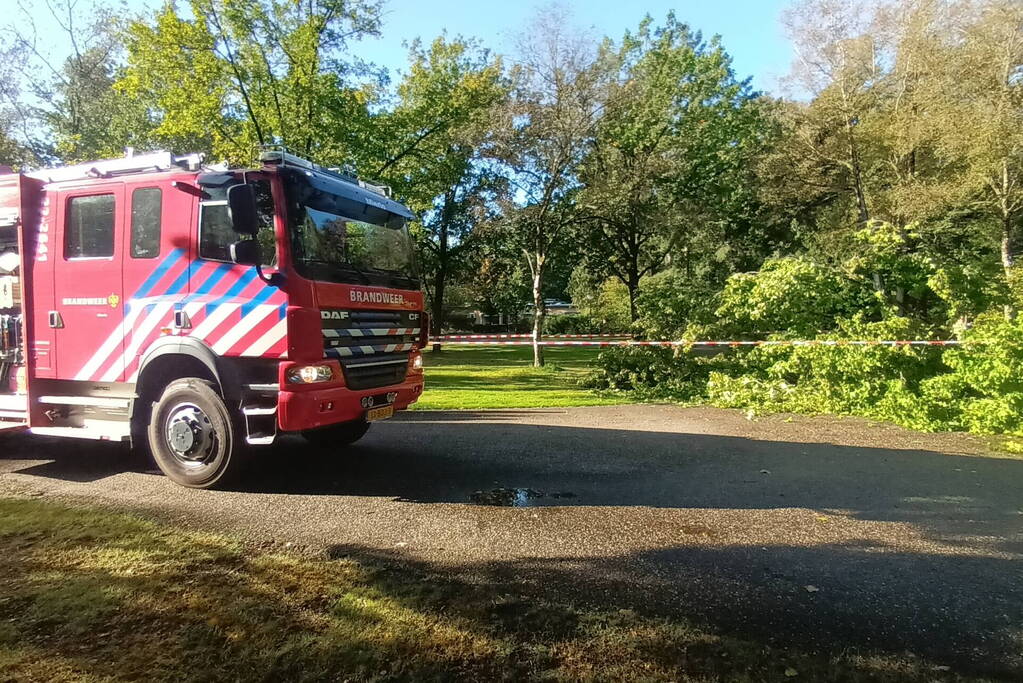 Brandweer ingezet voor afgebroken tak