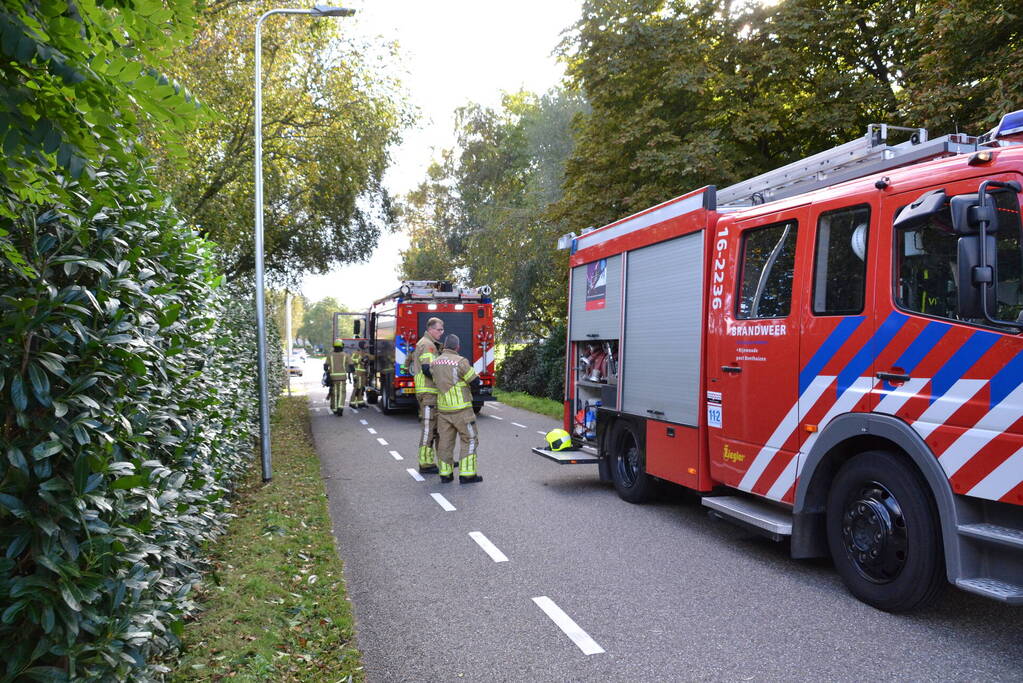 Brandweer groots ingezet voor brand in rietenkap