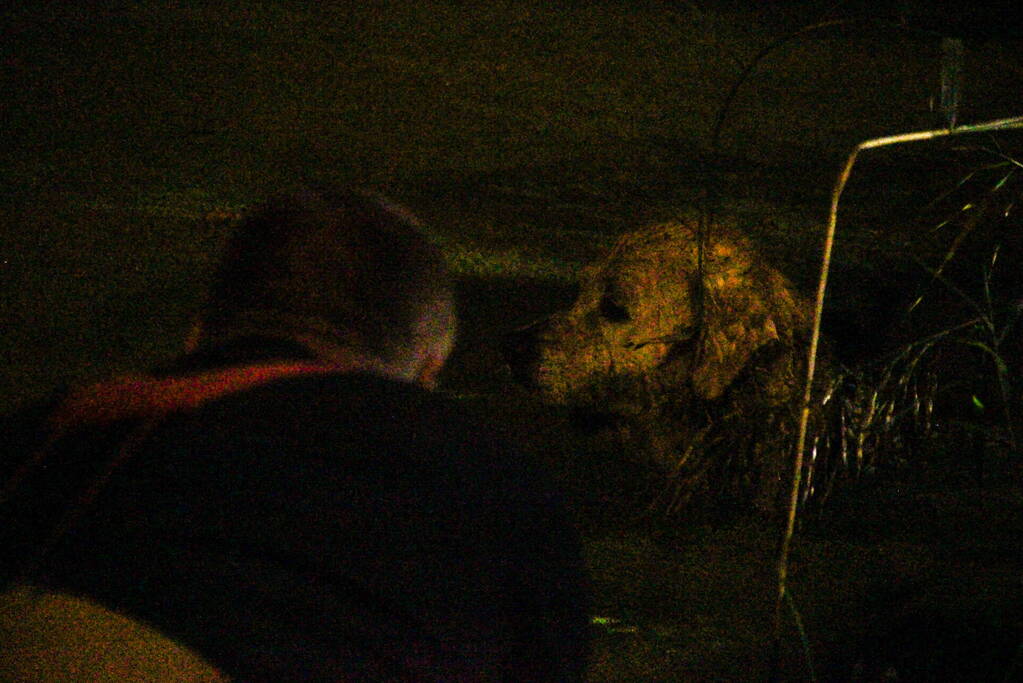 Hond door brandweer uit sloot gered