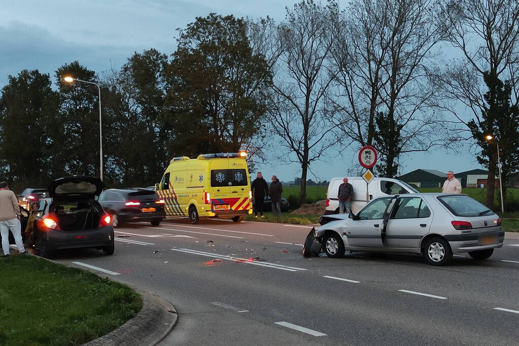 Persoon en hond gewond bij botsing op kruising