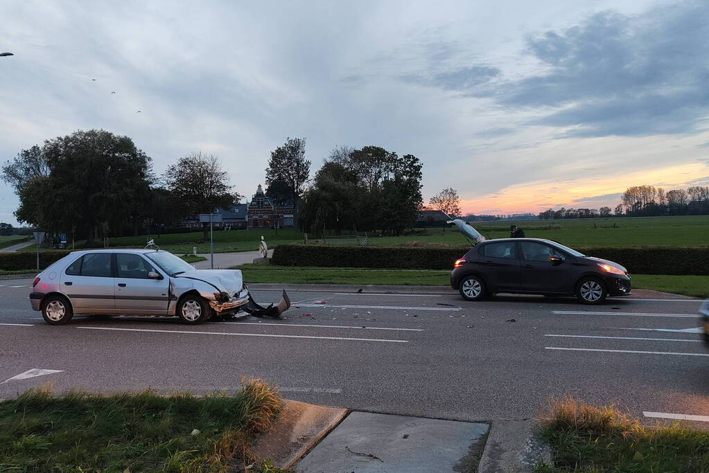 Persoon en hond gewond bij botsing op kruising