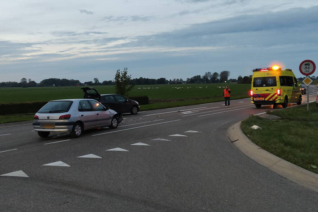 Persoon en hond gewond bij botsing op kruising