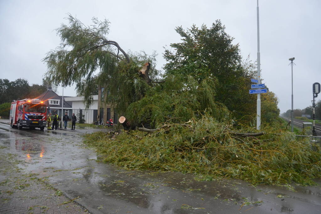 Fietser gewond na omvallen boom