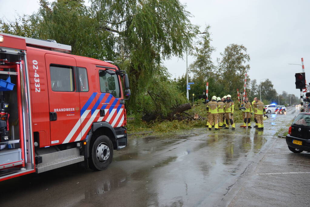 Fietser gewond na omvallen boom