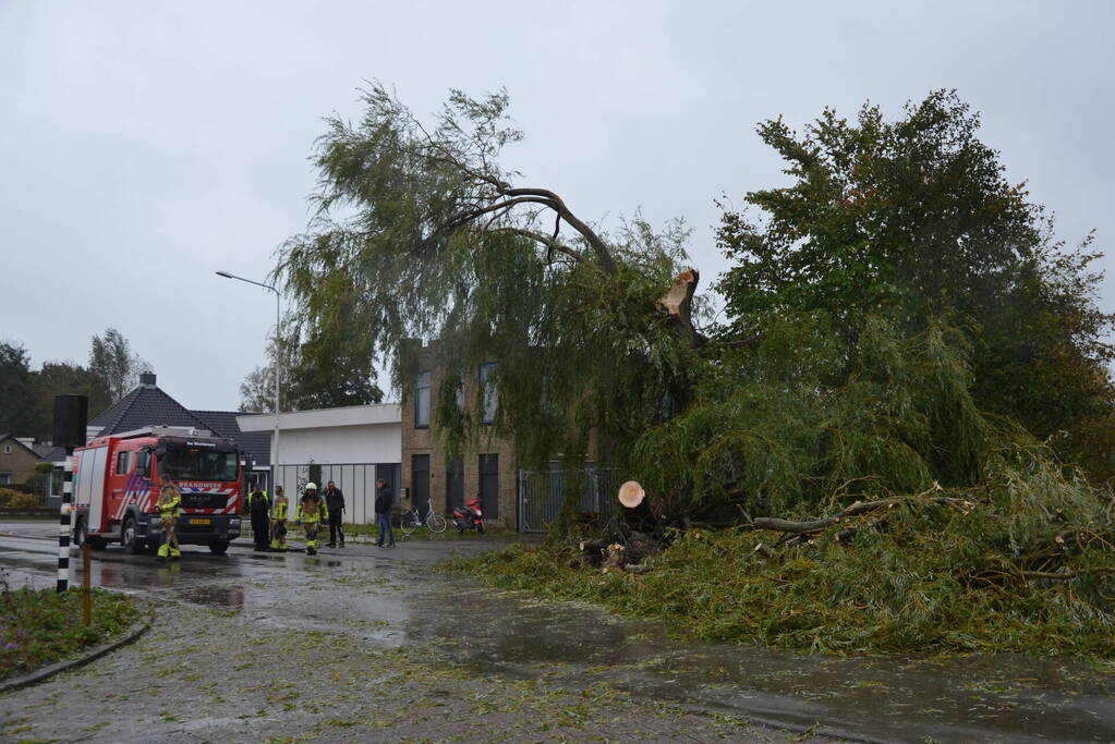 Fietser gewond na omvallen boom