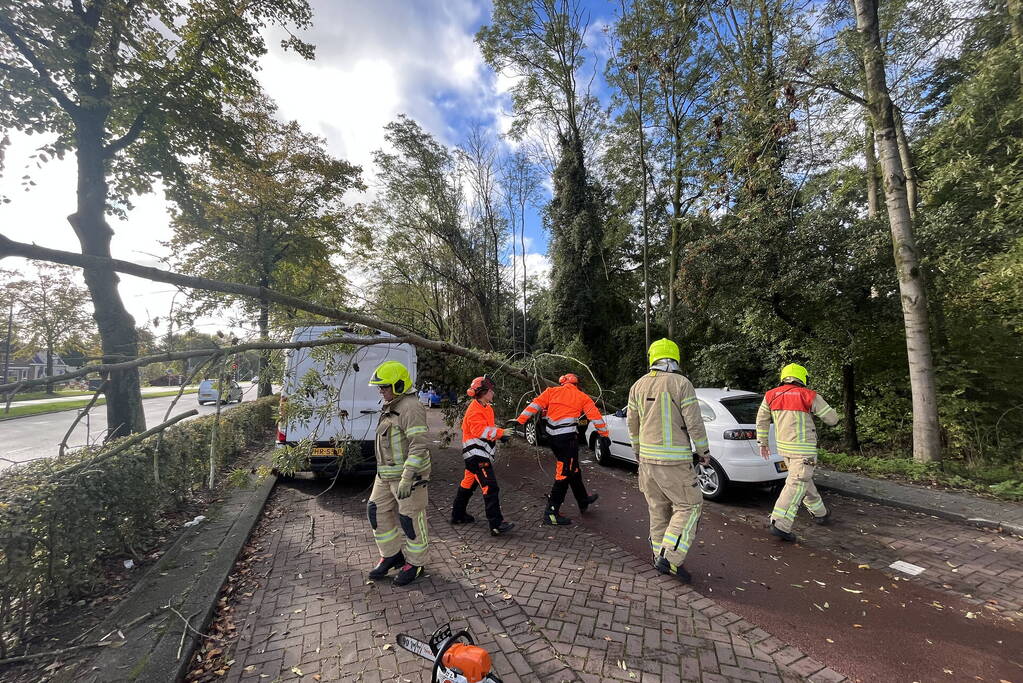 Auto beschadigd door omgevallen boom