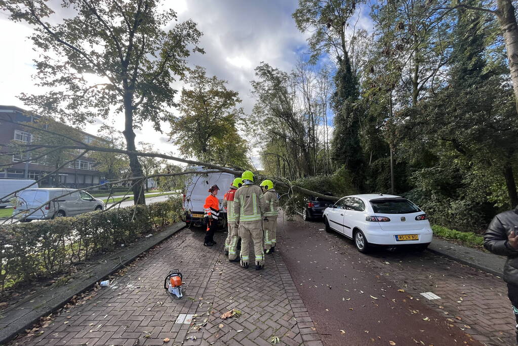 Auto beschadigd door omgevallen boom