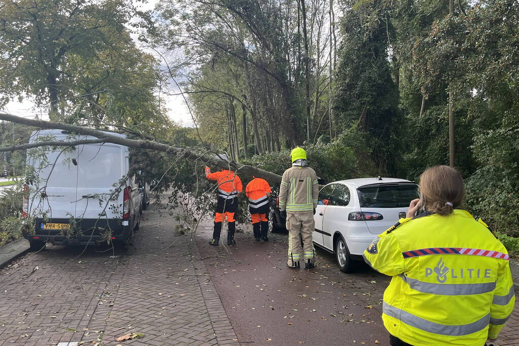 Auto beschadigd door omgevallen boom